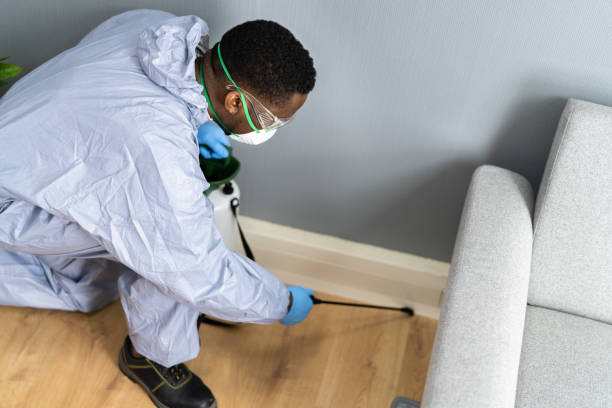 Best Residential Pest Control  in Sellersville, PA